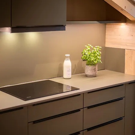 Maisel Berge Heimat Balance Apartman Obermaiselstein